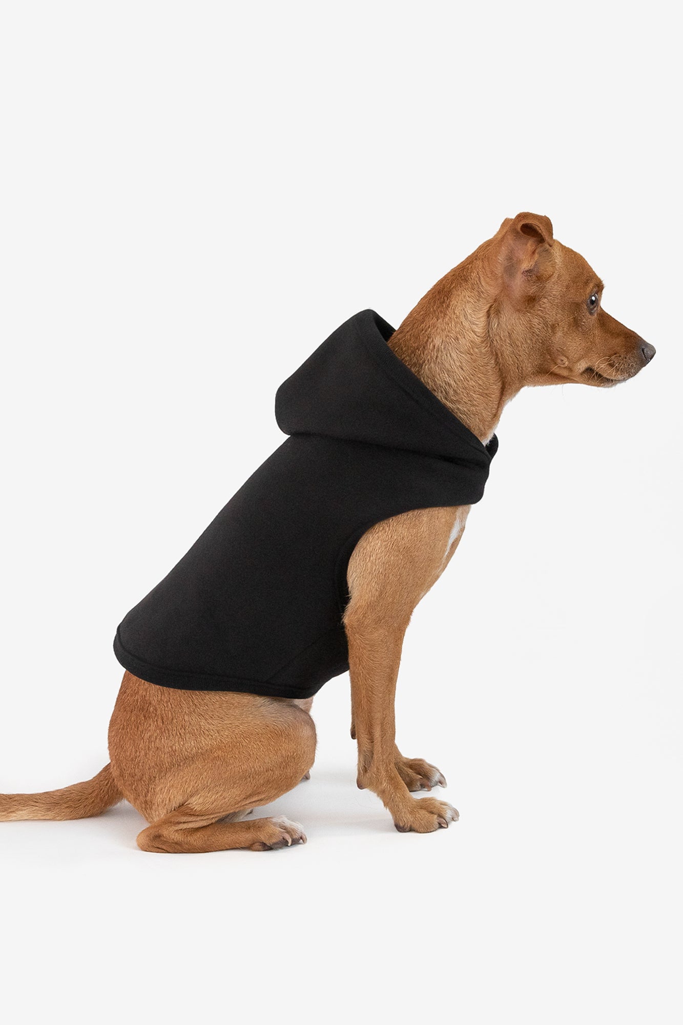 Heavy Fleece Dog Sweater for Cold Weather