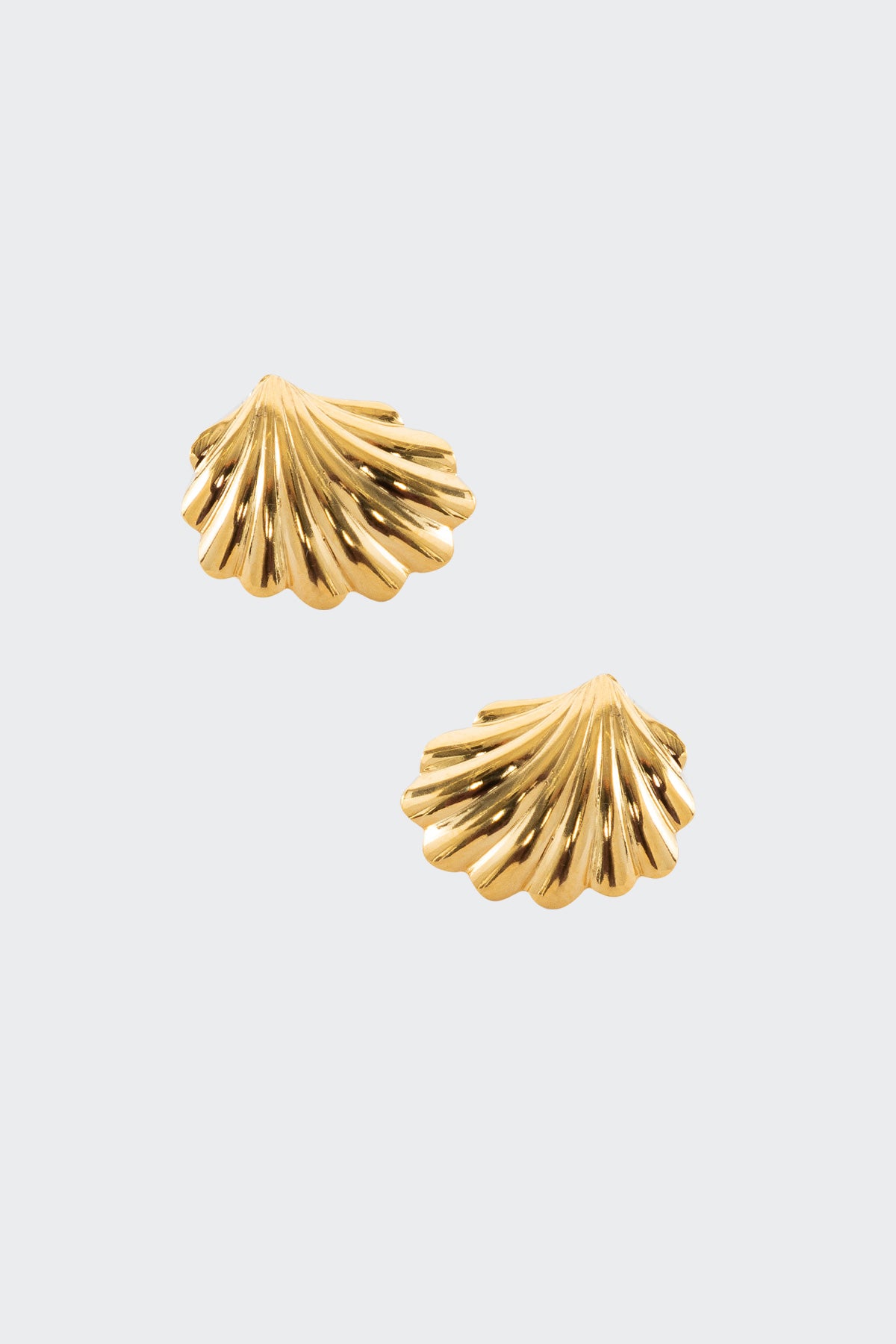 JWLS Seashell Stud Earrings for Women